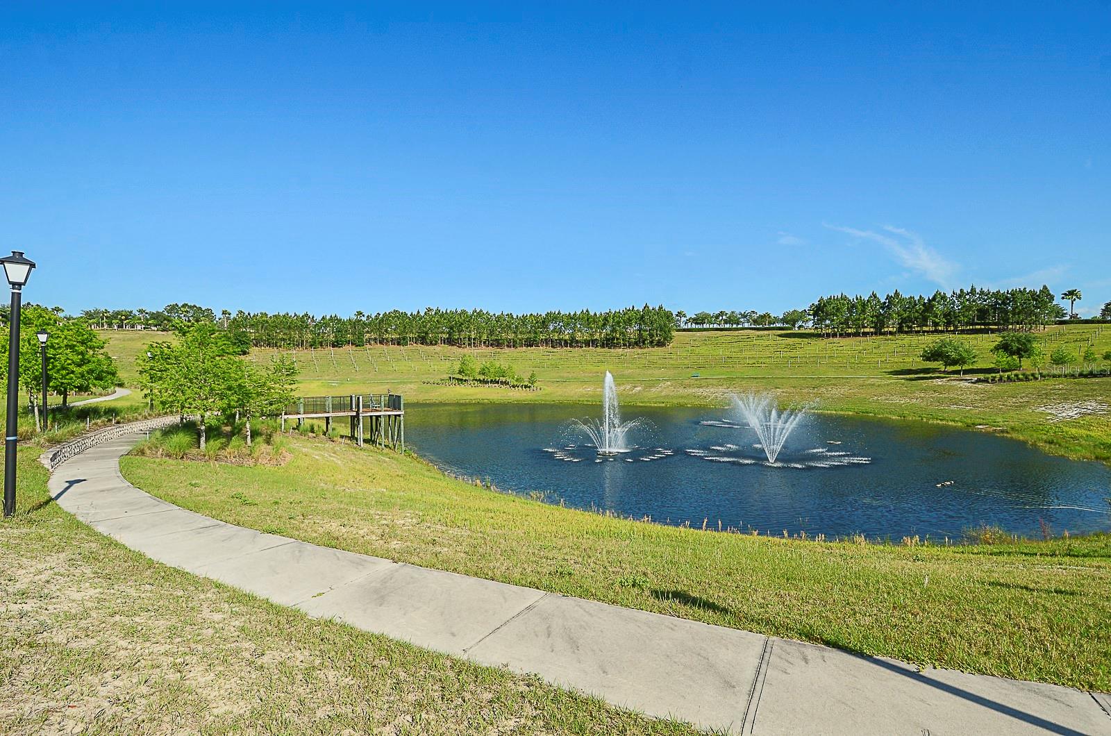 Image 42 of 57 For 3768 Serena Lane