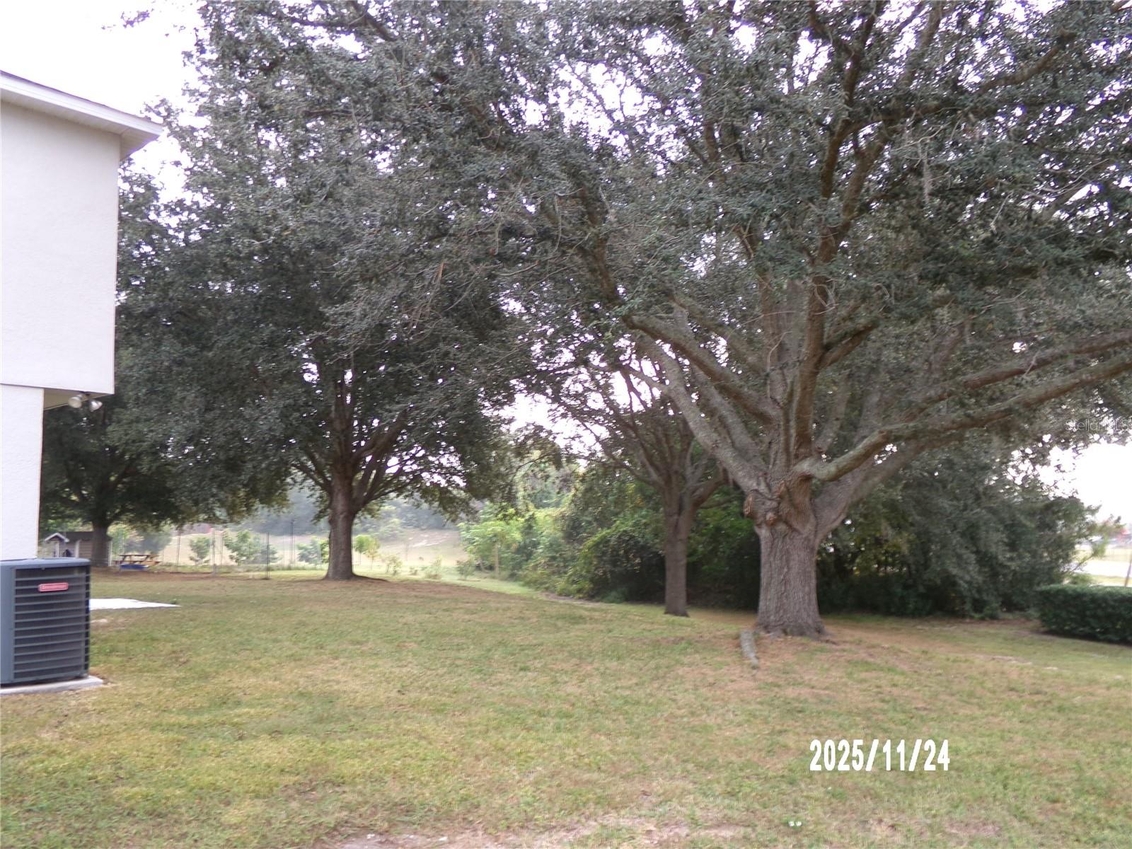 Image 38 of 40 For 9412 Water Fern Circle