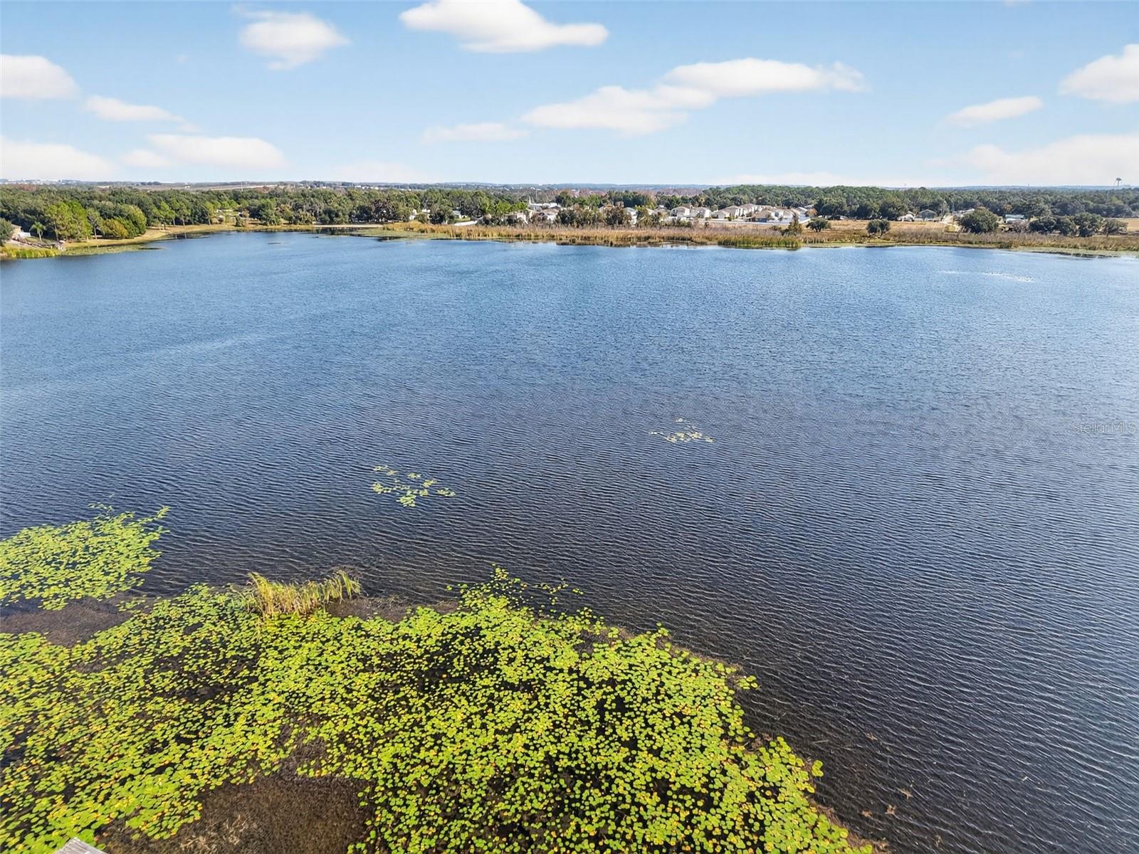 Image 29 of 31 For 145 Lake Catherine Cir