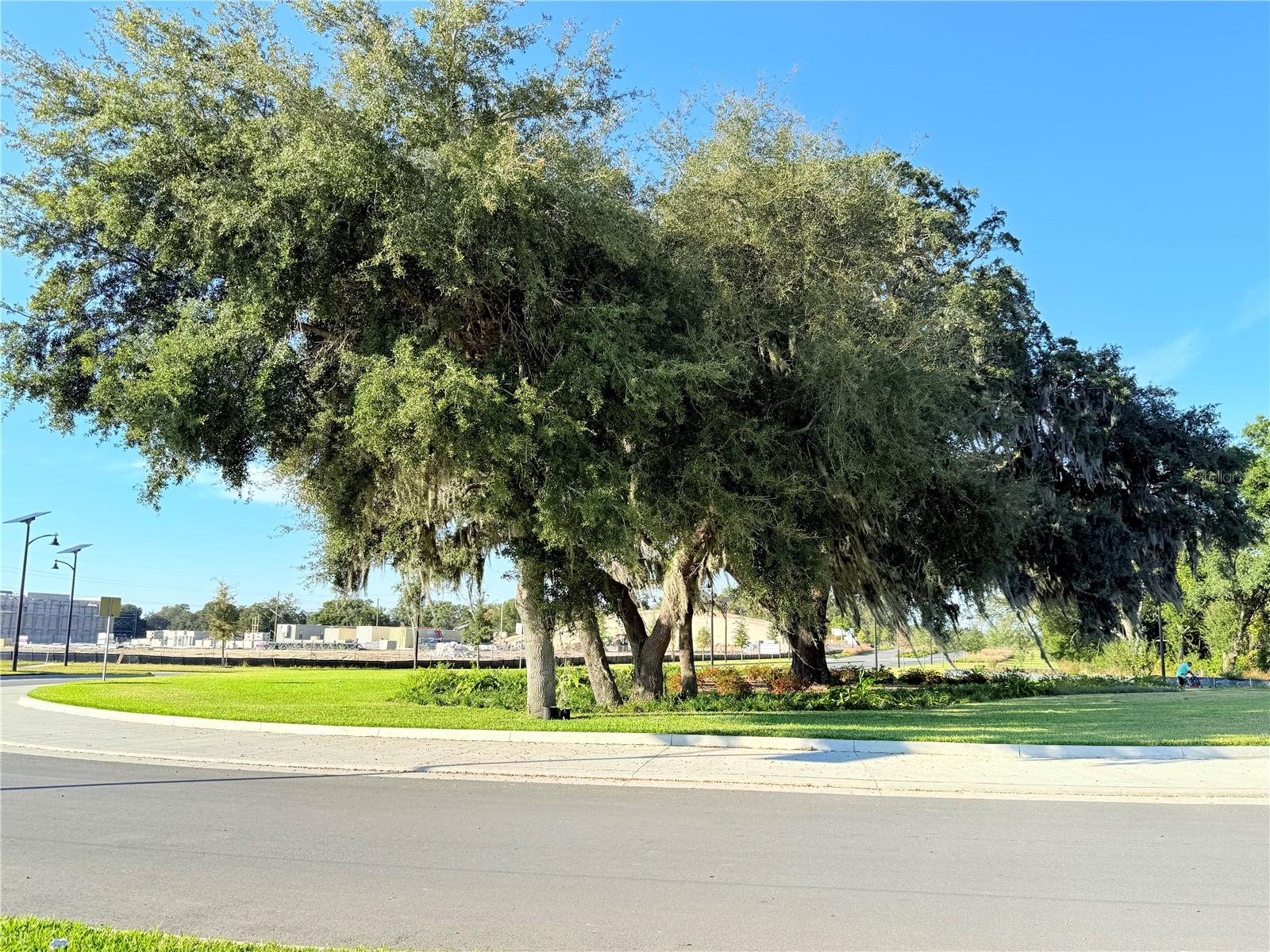 Image 41 of 49 For 1204 Port Blue Way