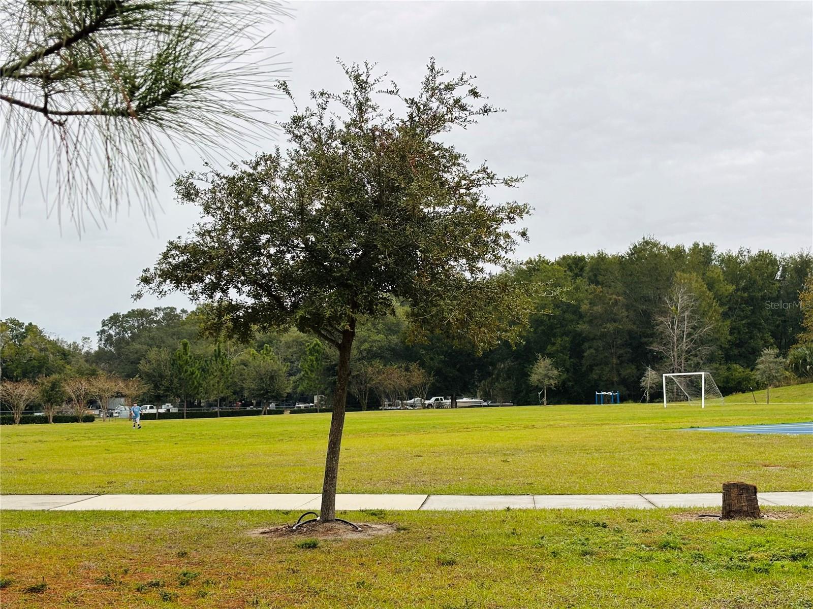 Image 37 of 39 For 3343 Wolf Run Road