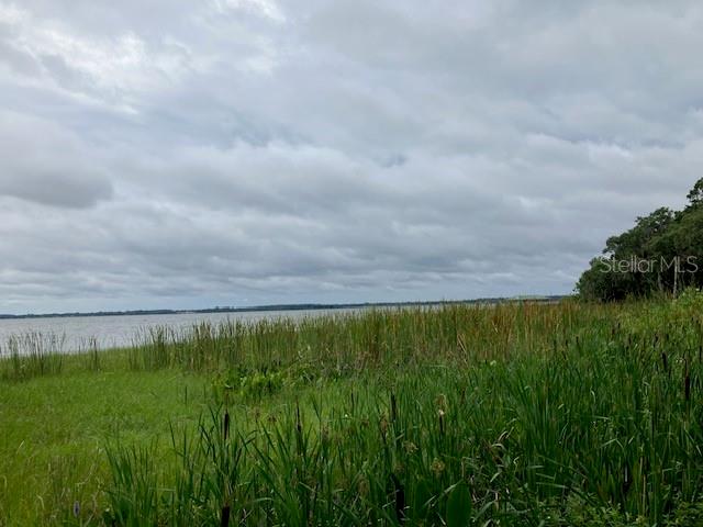 Image 6 of 10 For Mockingbird Lane