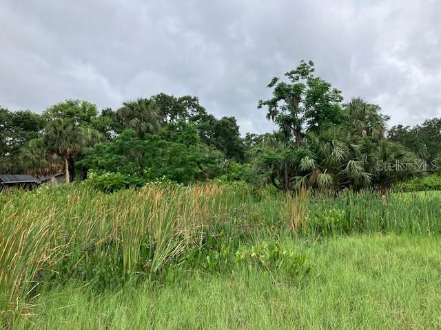 Image 8 of 10 For Mockingbird Lane