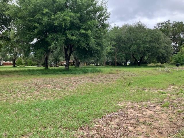 Image 6 of 10 For Mockingbird Lane