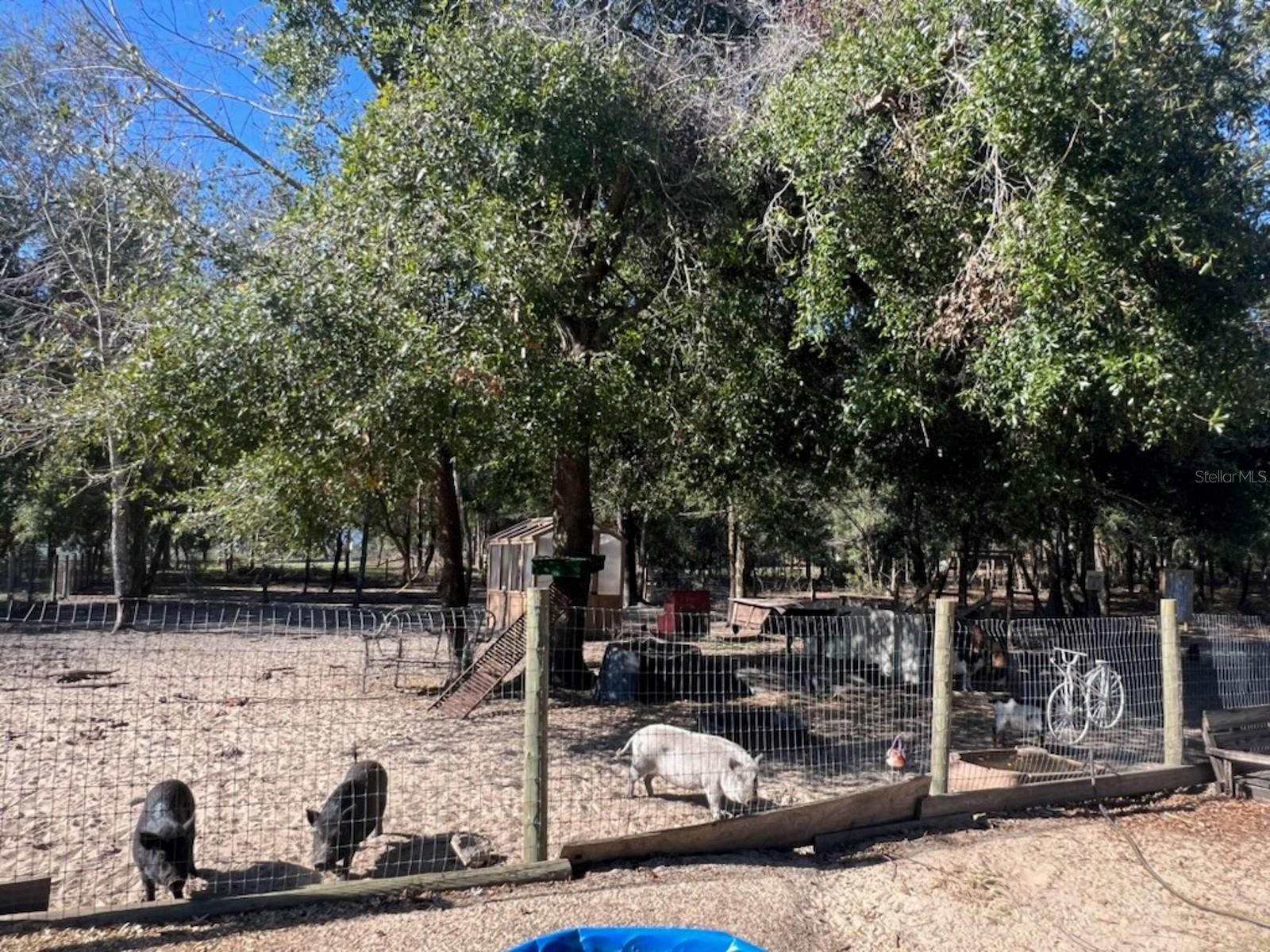 Image 36 of 40 For 22531 5th St