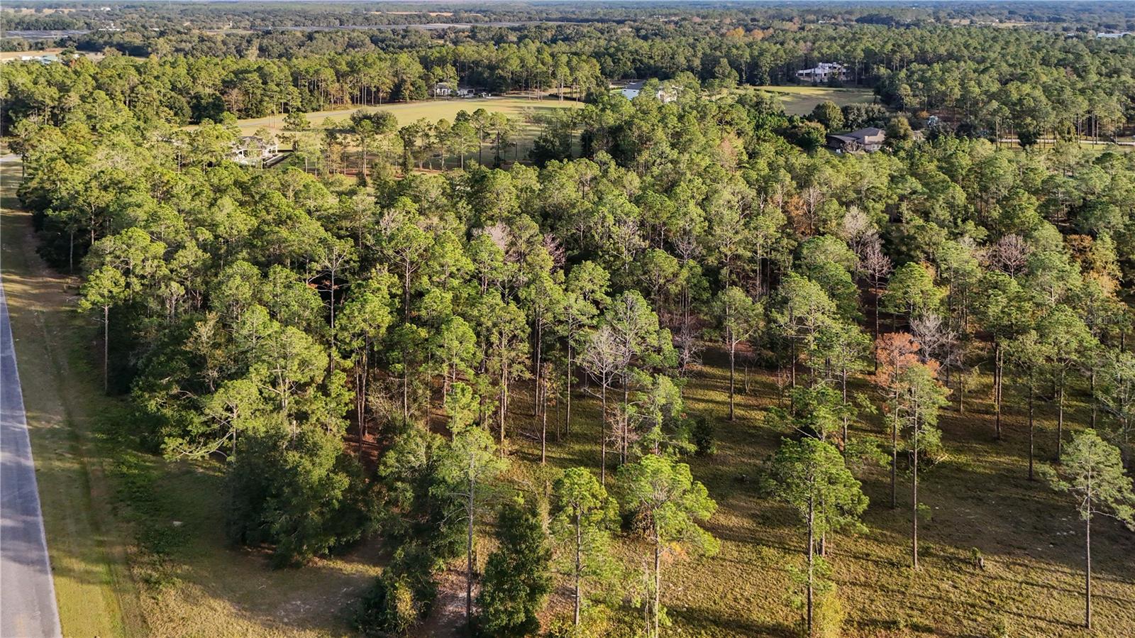 Image 16 of 25 For 24325 Deep Springs Loop