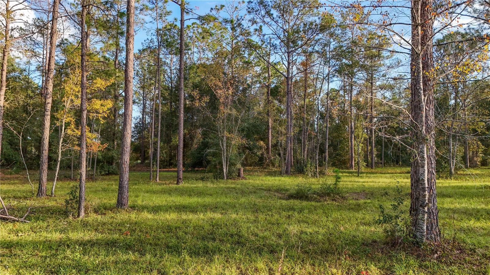 Image 21 of 25 For 24325 Deep Springs Loop