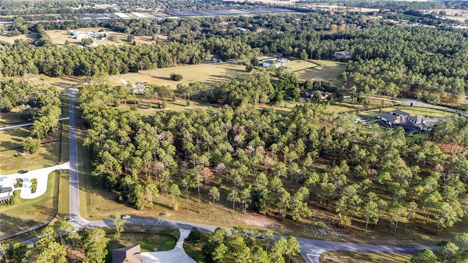 Image 6 of 25 For 24325 Deep Springs Loop