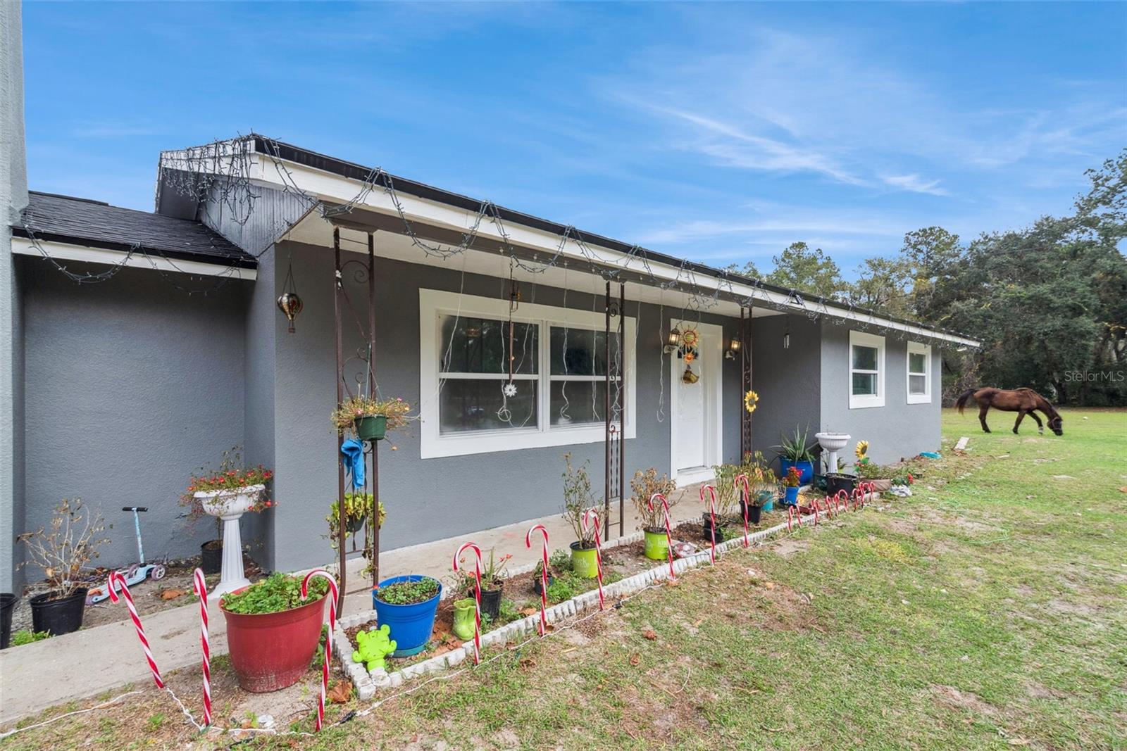 Image 5 of 54 For 28751 Sleepy Bear Lane