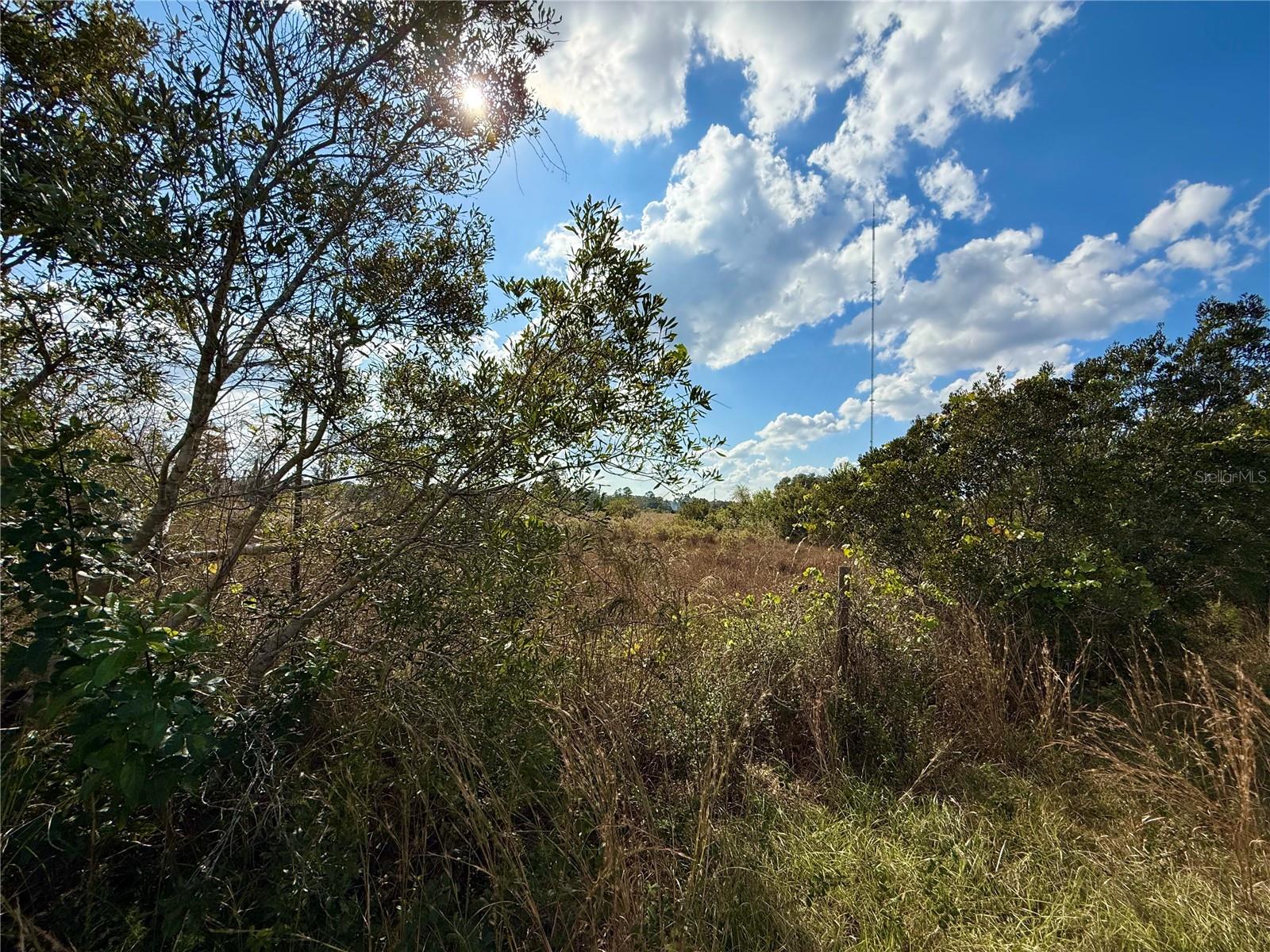 Image 19 of 28 For Lot 9 Fort Christmas Road