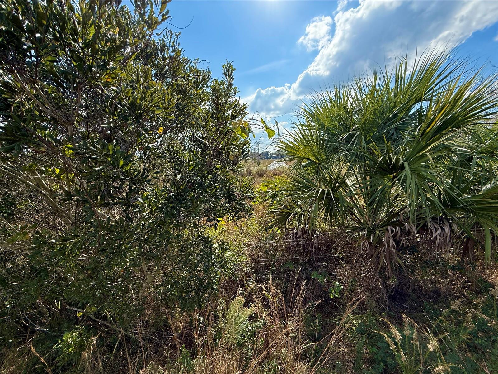 Image 20 of 28 For Lot 9 Fort Christmas Road