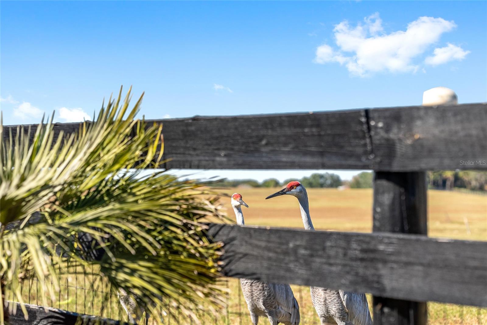 Image 44 of 51 For 1709 Madero Drive