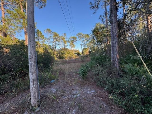 Image 7 of 9 For 28710 County Road 42