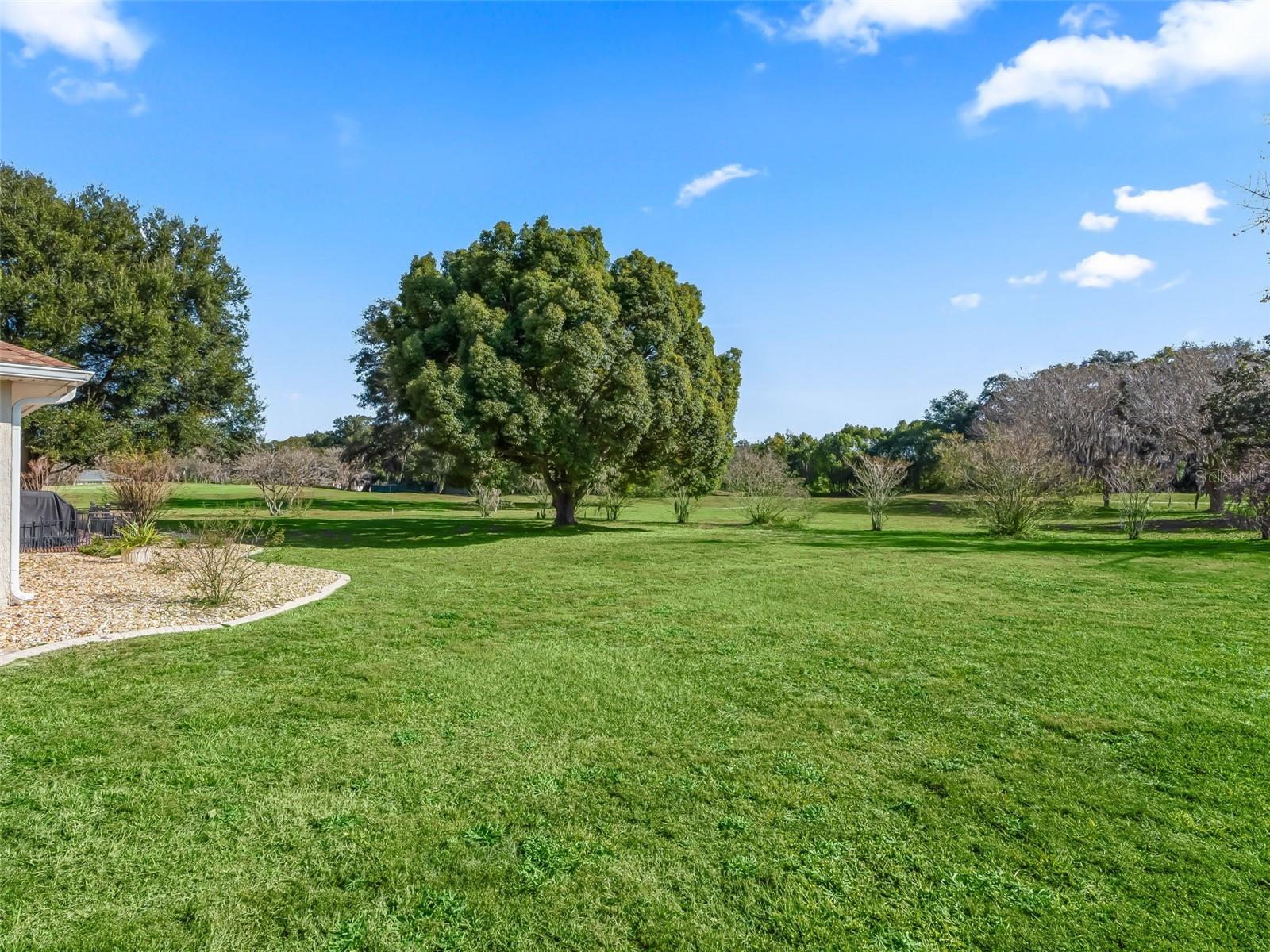 Image 50 of 61 For 1409 Meadow View Way