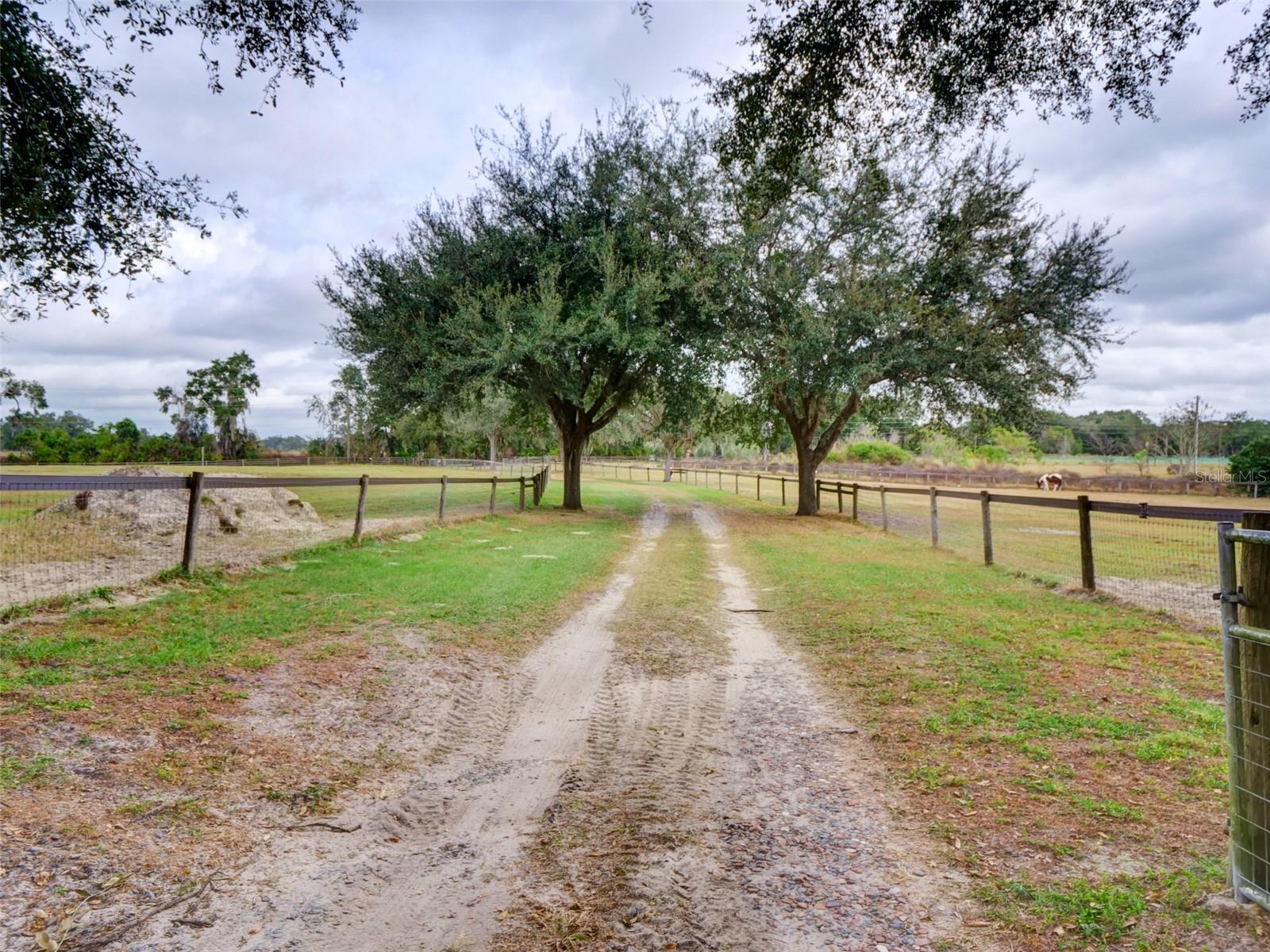 Image 40 of 60 For 1765 Cr 462  