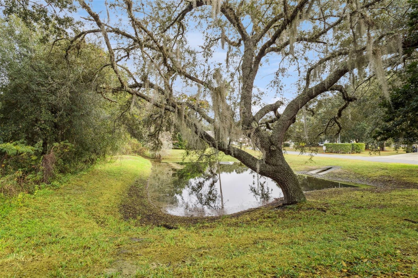 Image 25 of 73 For 26320 Evert Street