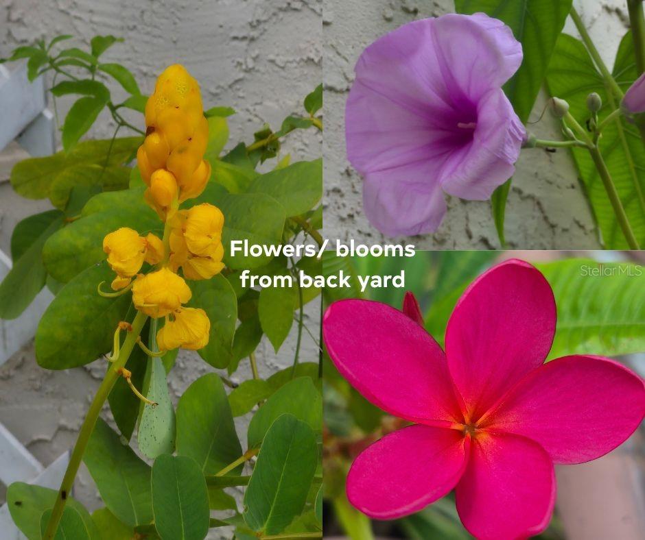 Image 34 of 35 For 1801 Missouri Ave