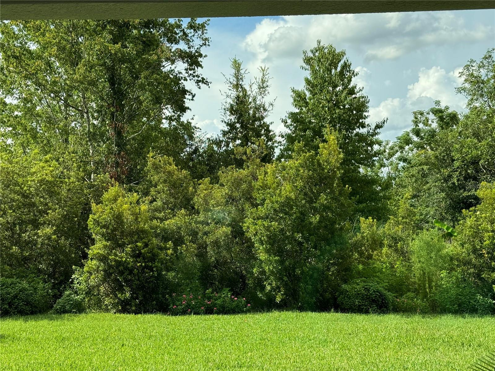 Image 51 of 52 For 5008 125th Loop