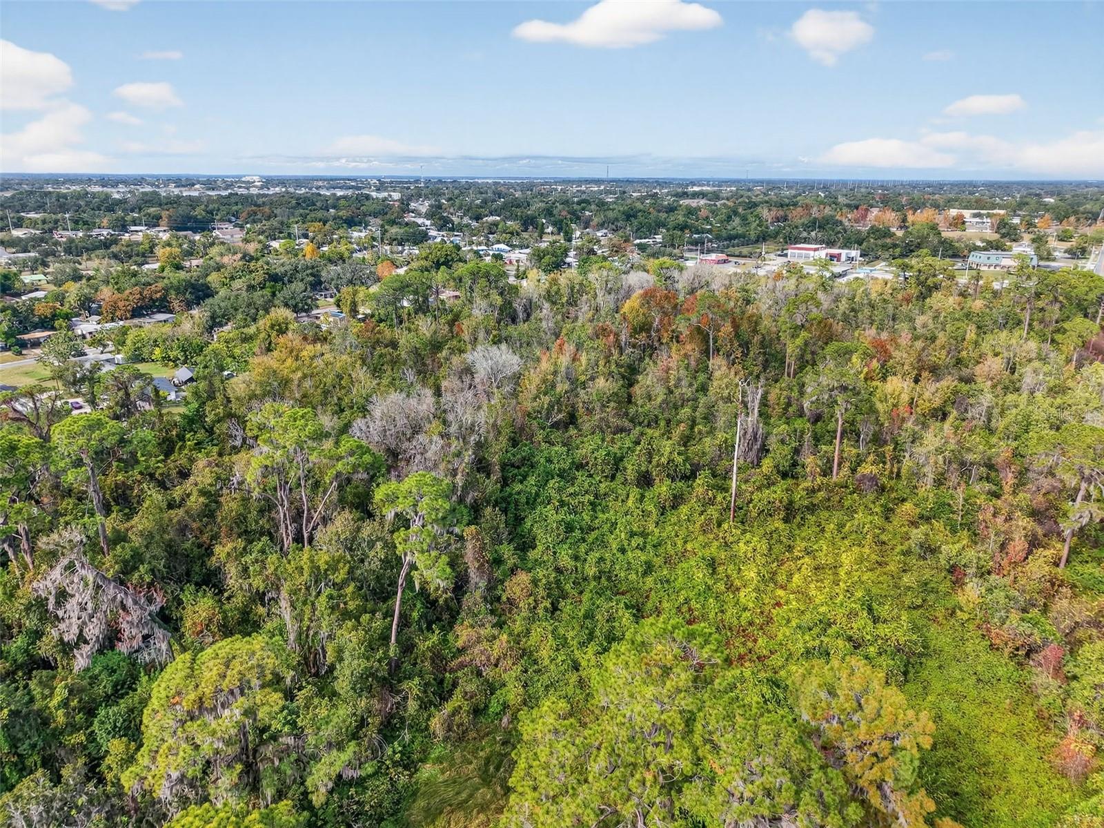 Image 13 of 14 For Old Us-441 W