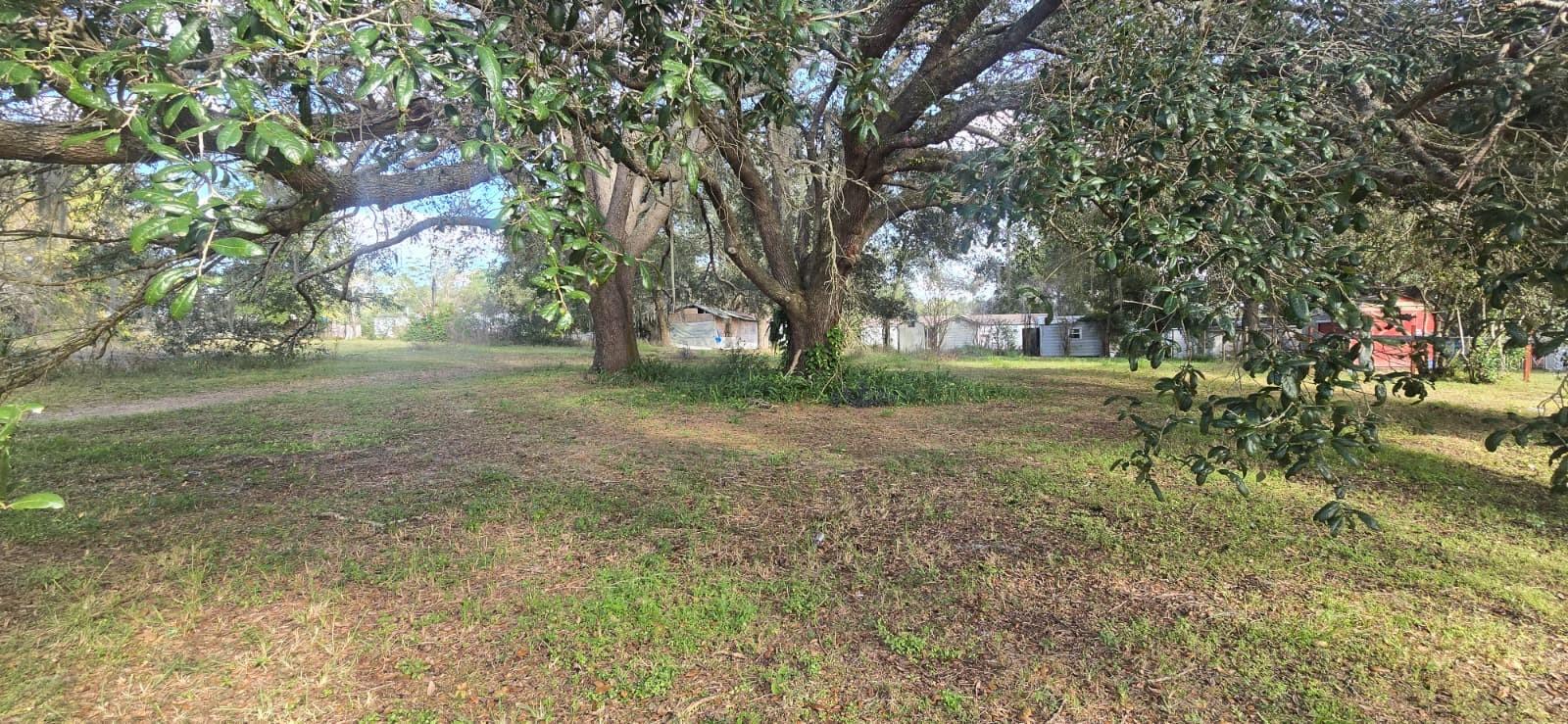 Listing Details for 17125 251st Terrace, UMATILLA, FL 32784