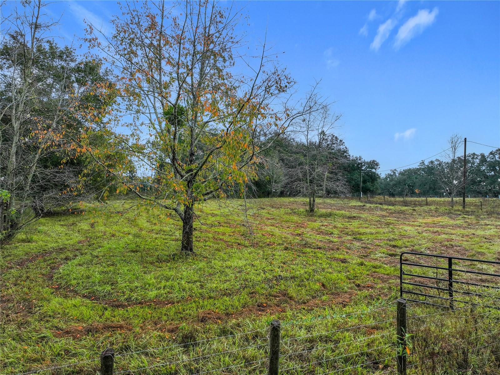 Image 5 of 14 For County Road 209