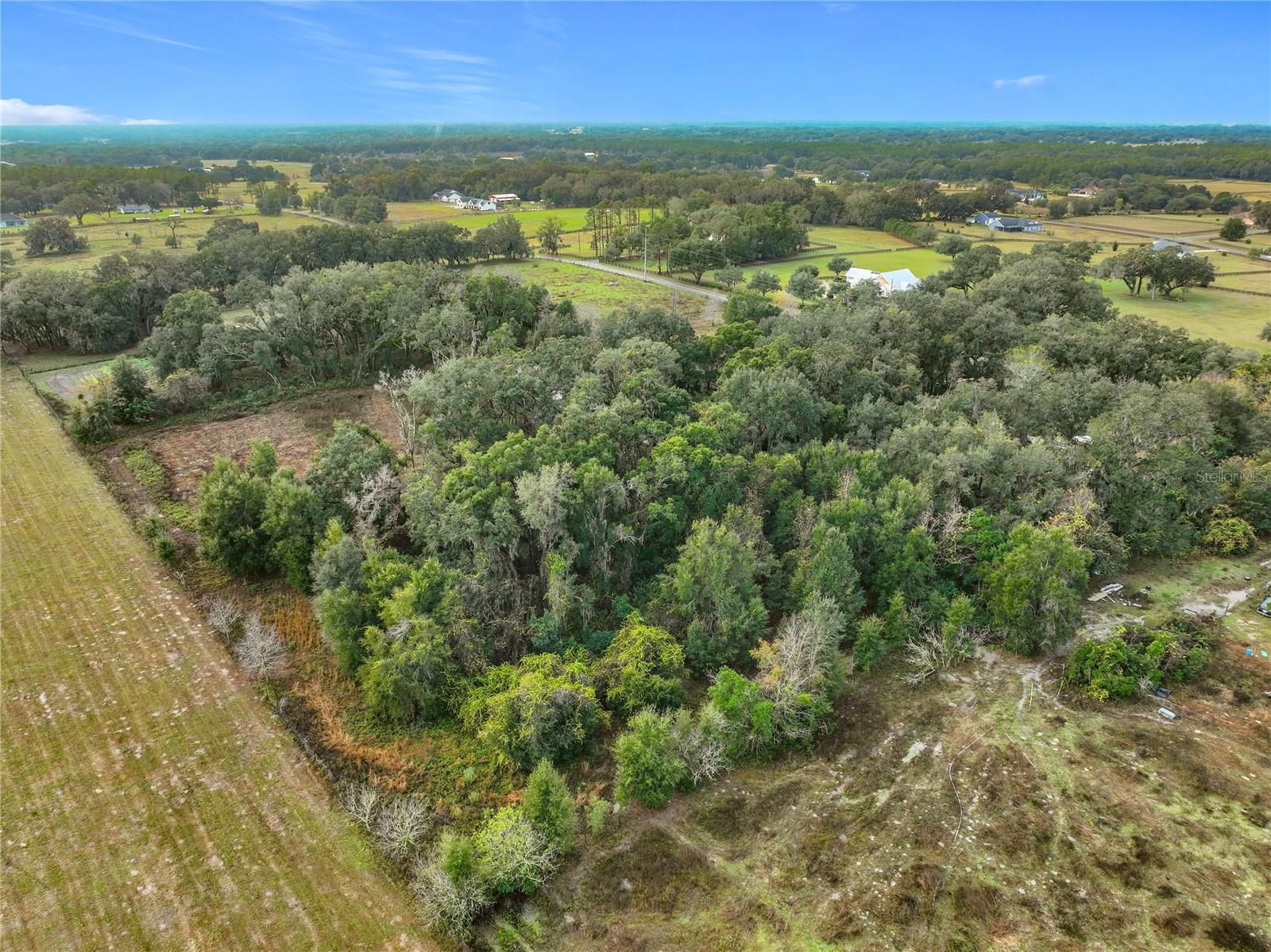 Image 9 of 14 For County Road 209