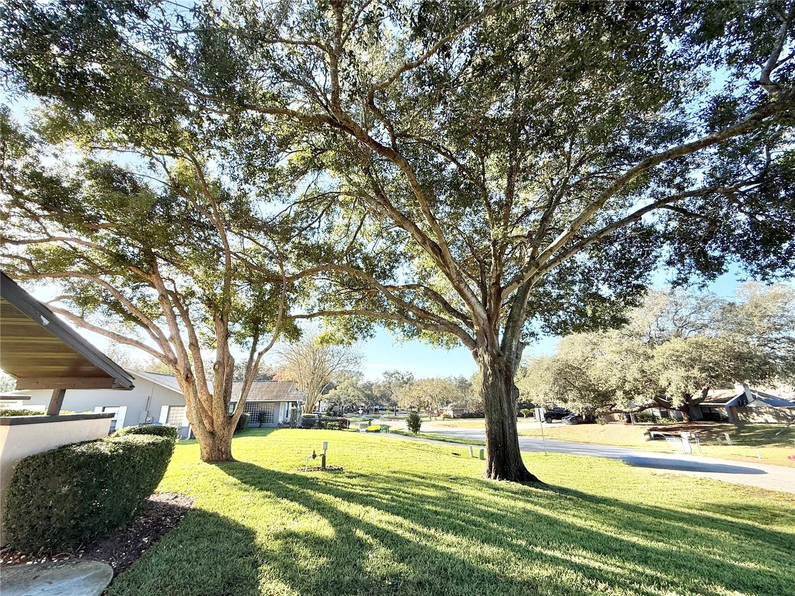 Image 5 of 32 For 33312 Coventry Drive