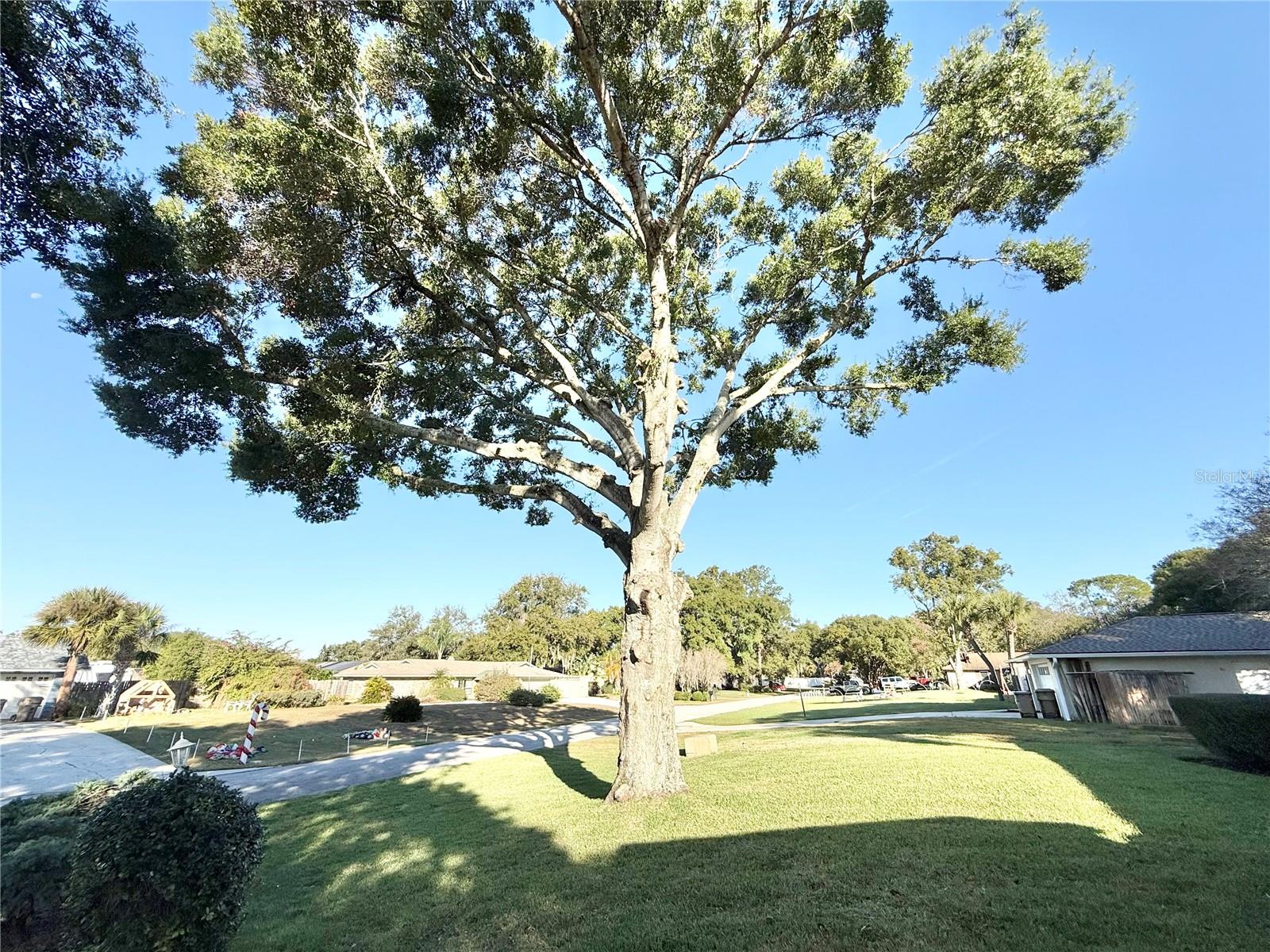 Image 6 of 32 For 33312 Coventry Drive