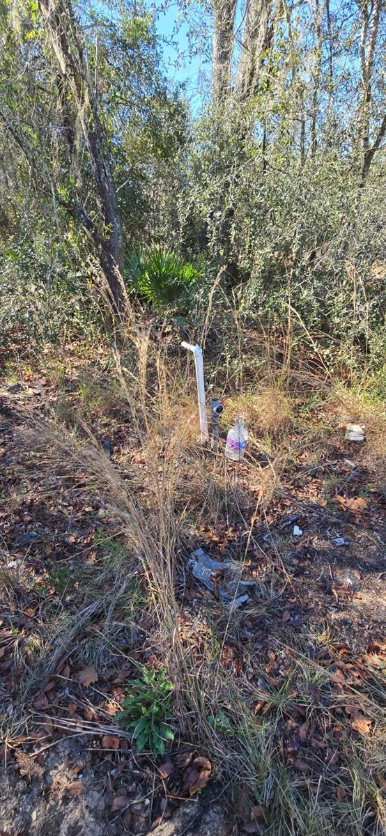 Image 5 of 7 For 14157 209th Terrace