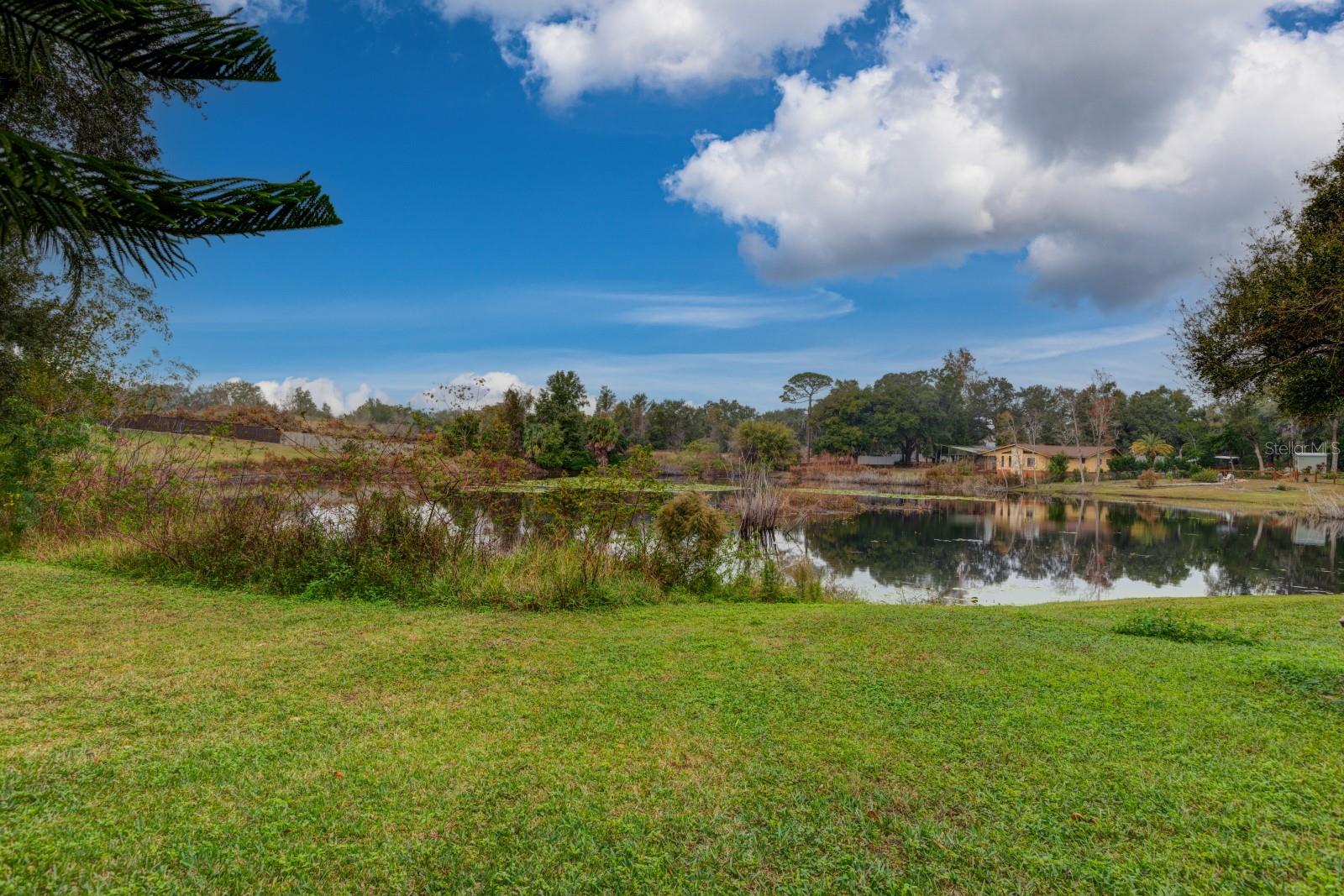 Image 29 of 37 For 33719 Overton Drive