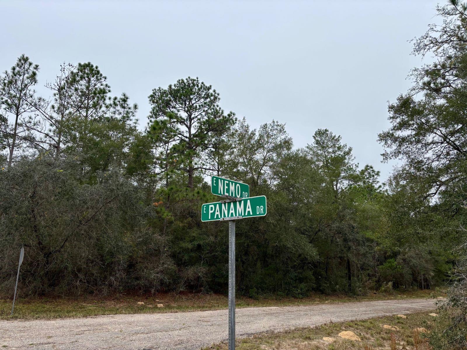 Image 3 of 7 For 517 Nemo Drive