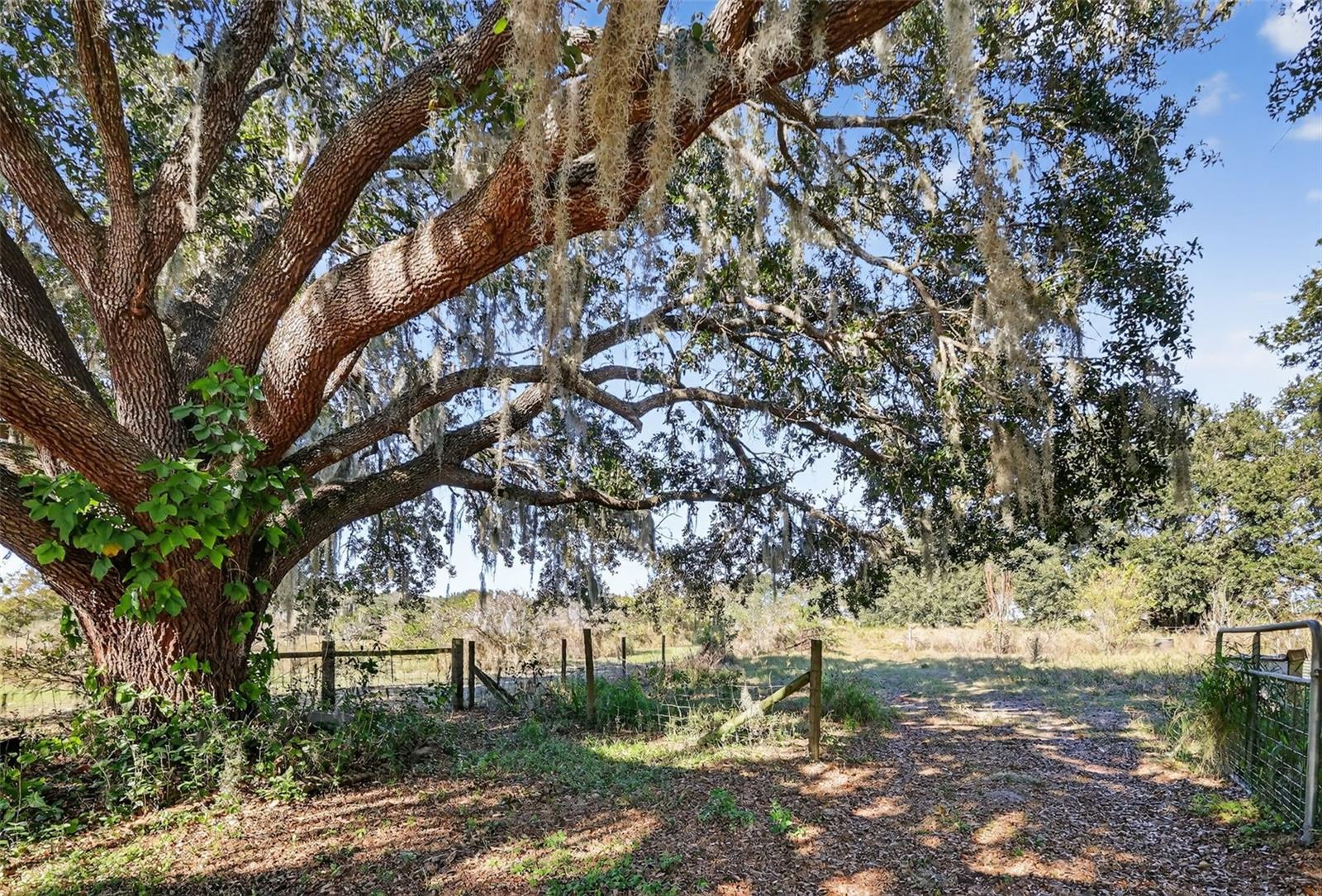 Image 23 of 30 For 11911 Lane Park Road