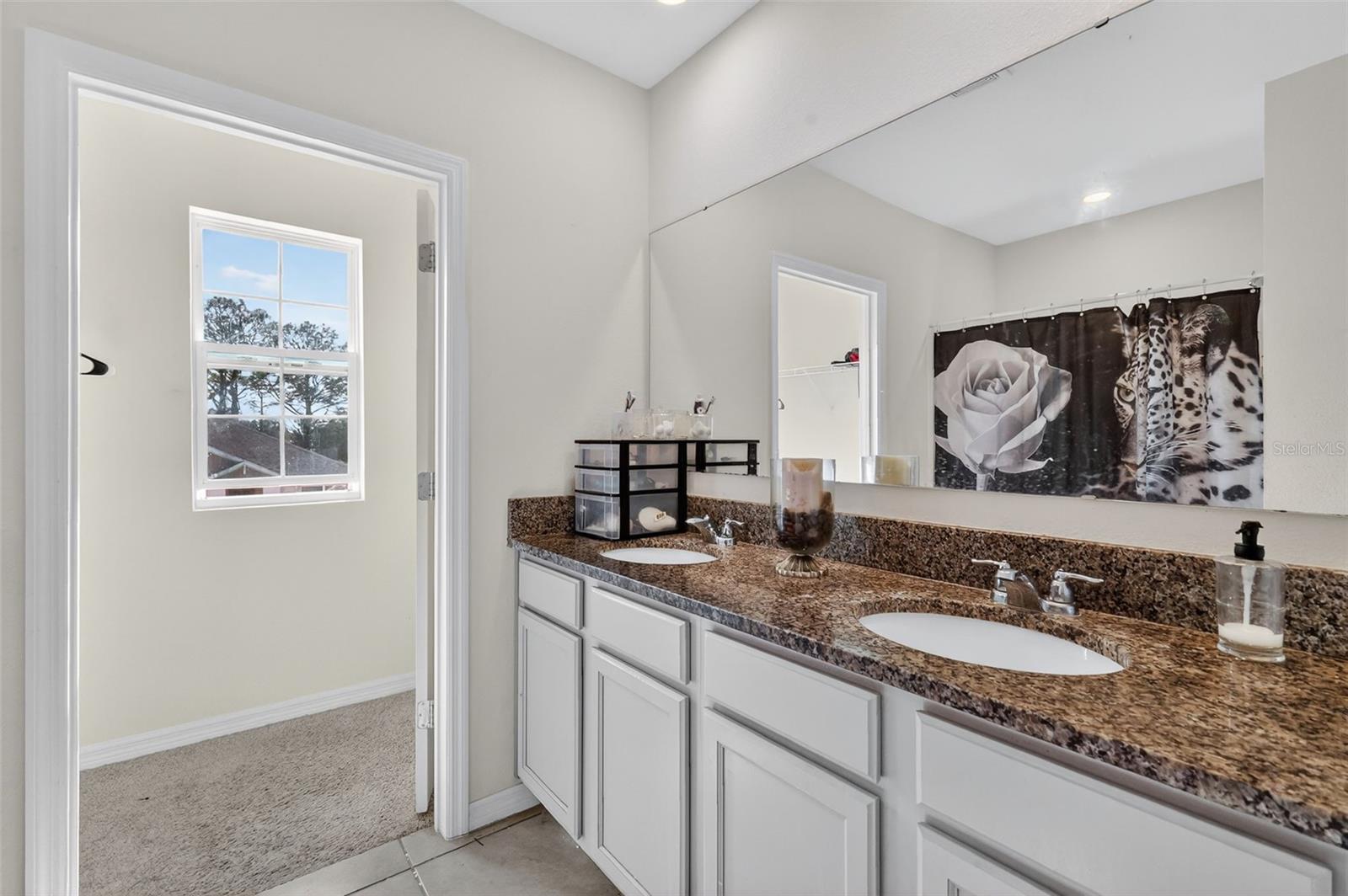 Image 19 of 41 For 11338 Amber Ridge Drive