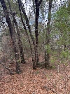 Image 3 of 5 For 00 Riviera Drive