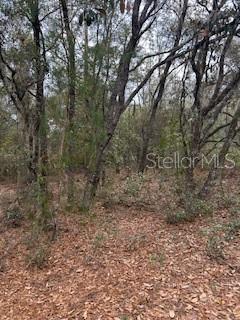 Image 5 of 5 For 00 Riviera Drive