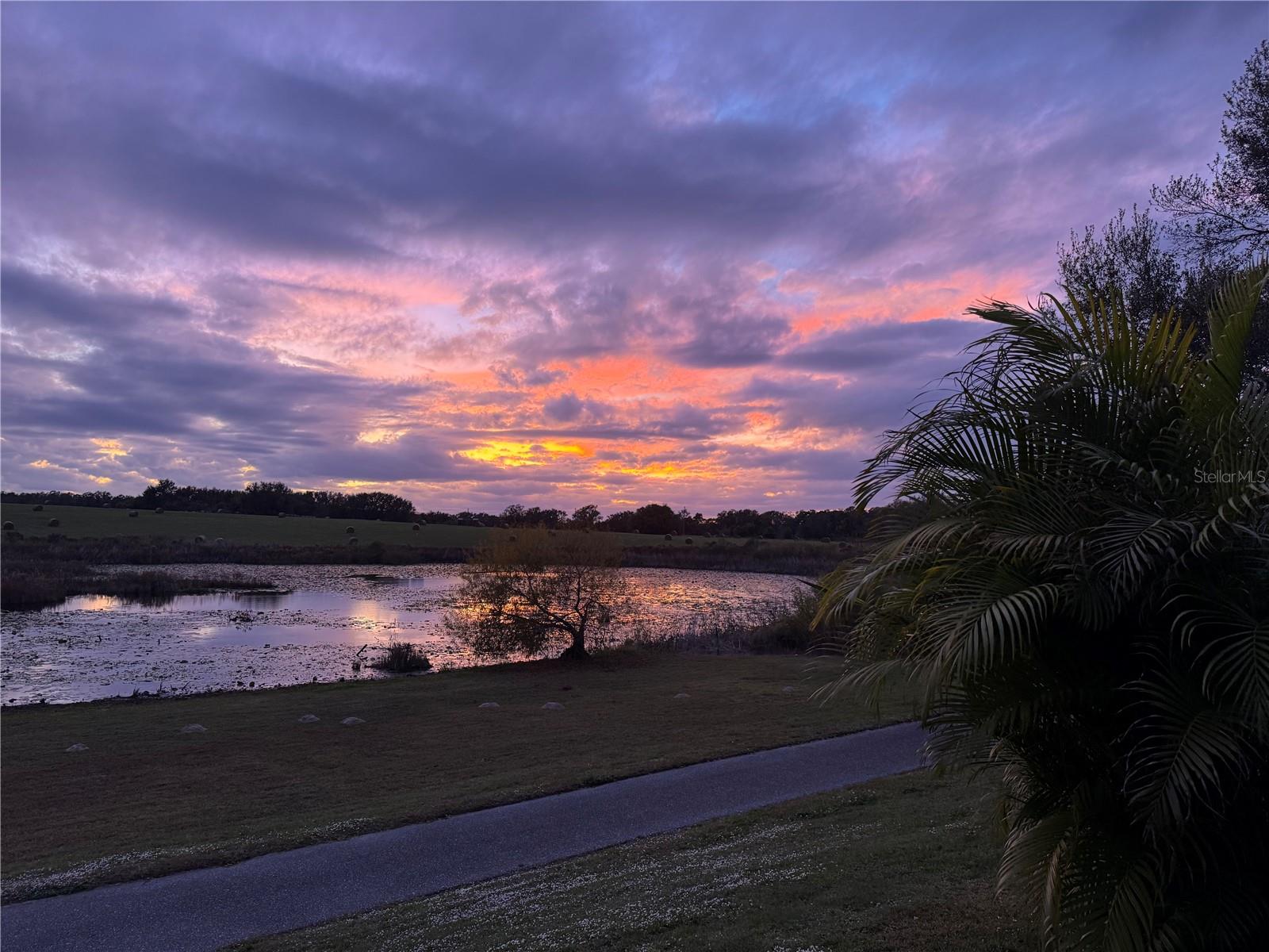 Image 66 of 98 For 25501 Maurepas Lane
