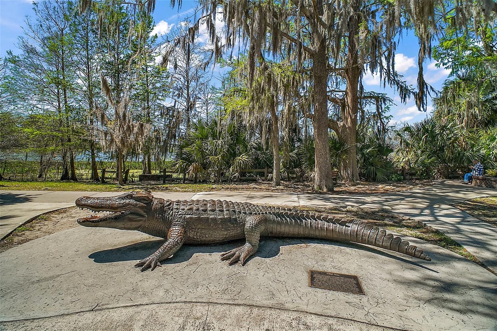 Image 67 of 75 For 629 Sandlake Court