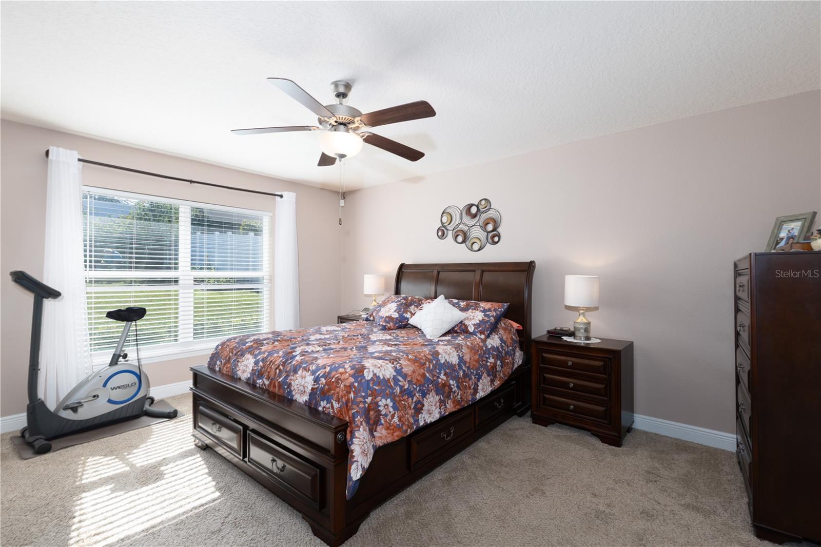 Image 20 of 44 For 2030 Angel Fish Loop