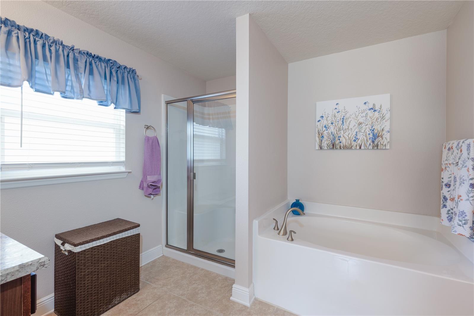 Image 24 of 44 For 2030 Angel Fish Loop