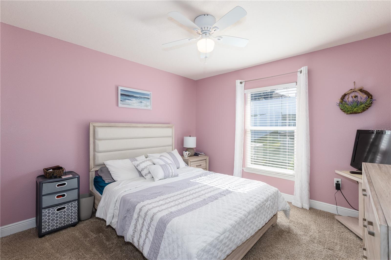 Image 31 of 44 For 2030 Angel Fish Loop