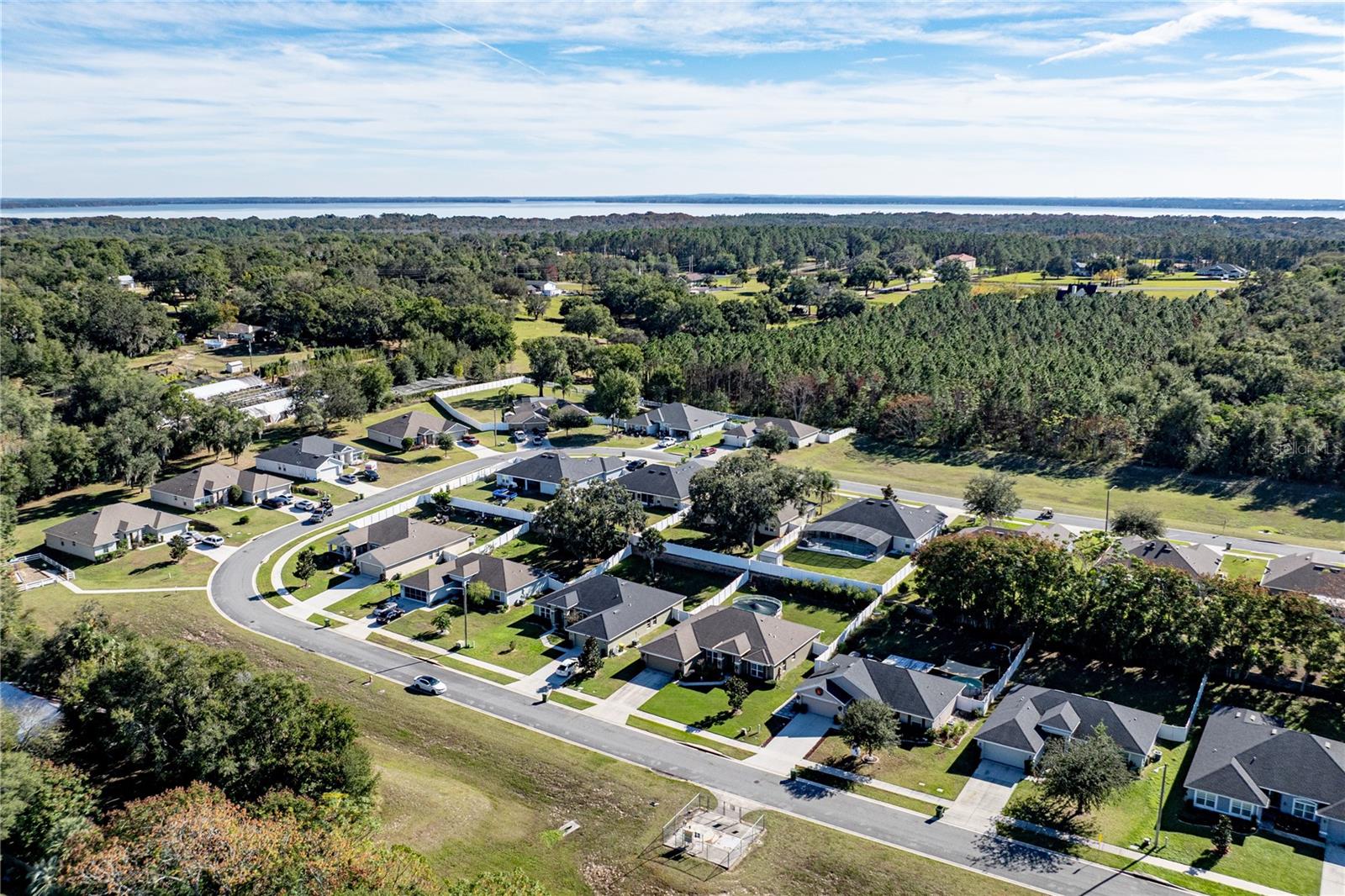 Image 42 of 44 For 2030 Angel Fish Loop