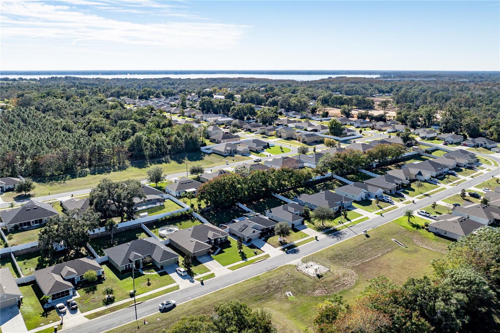 Image 43 of 44 For 2030 Angel Fish Loop