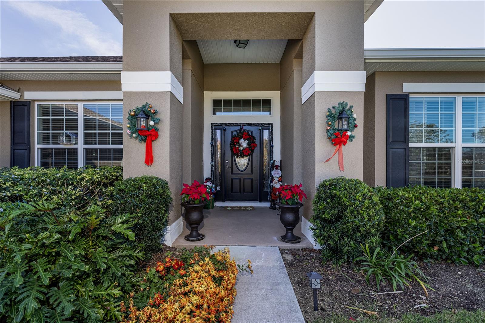 Image 6 of 44 For 2030 Angel Fish Loop