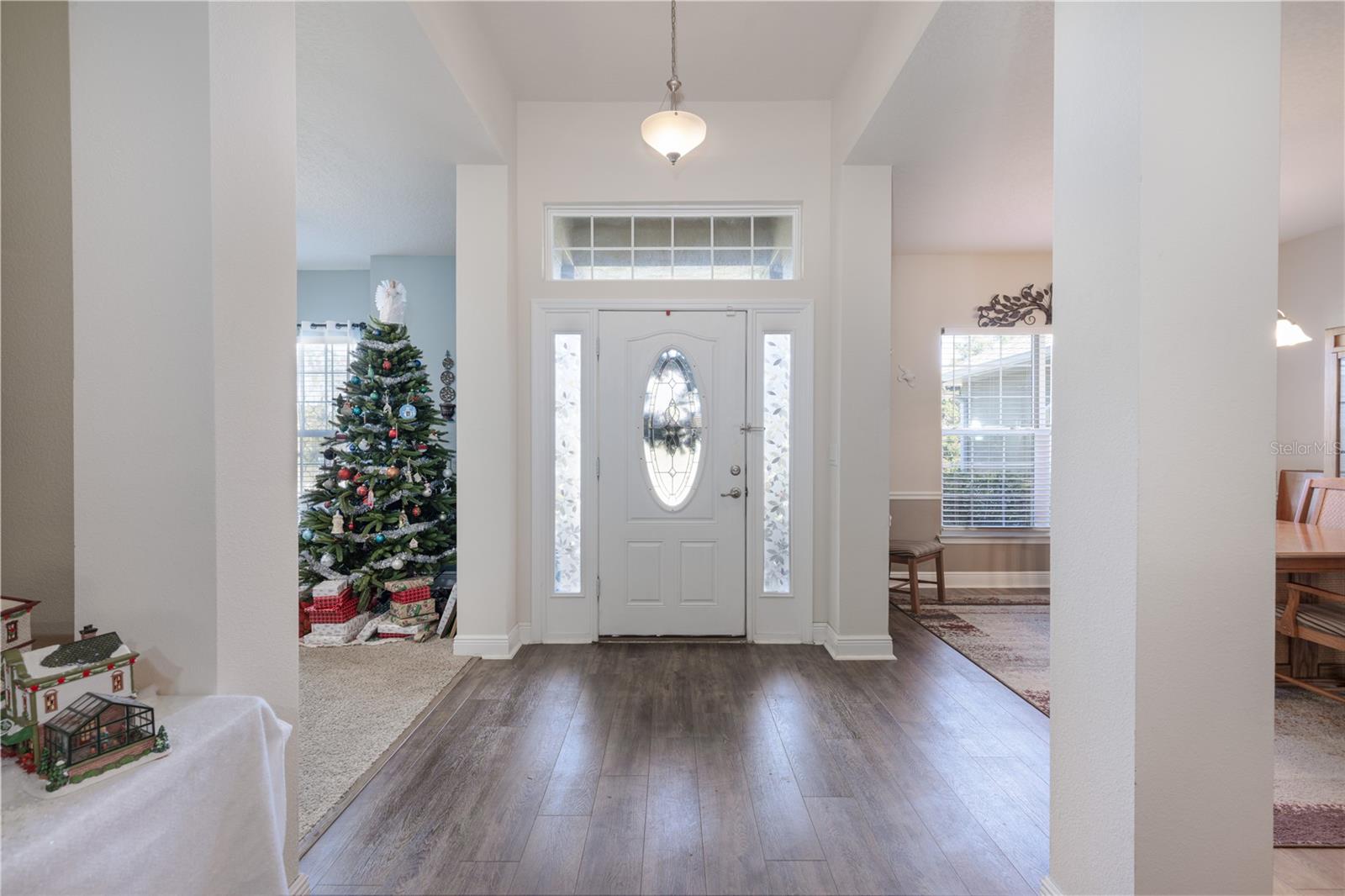 Image 7 of 44 For 2030 Angel Fish Loop