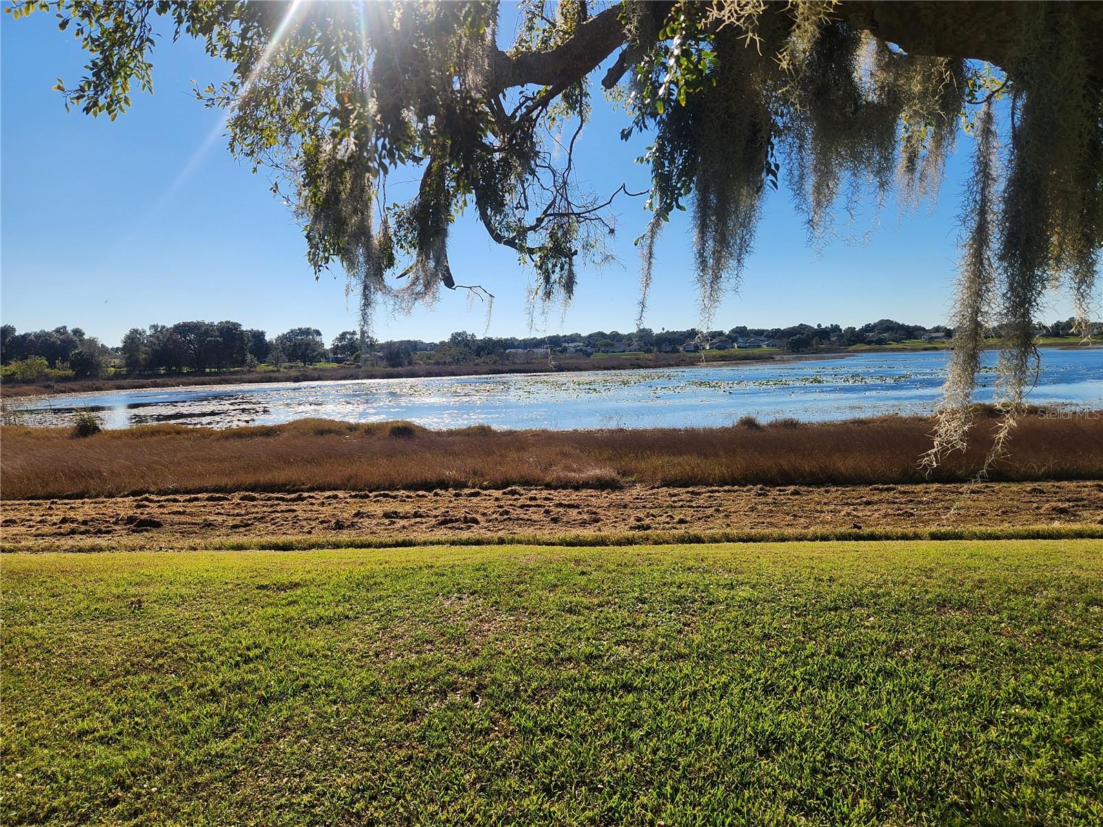 Image 31 of 60 For 24921 Pine Hill