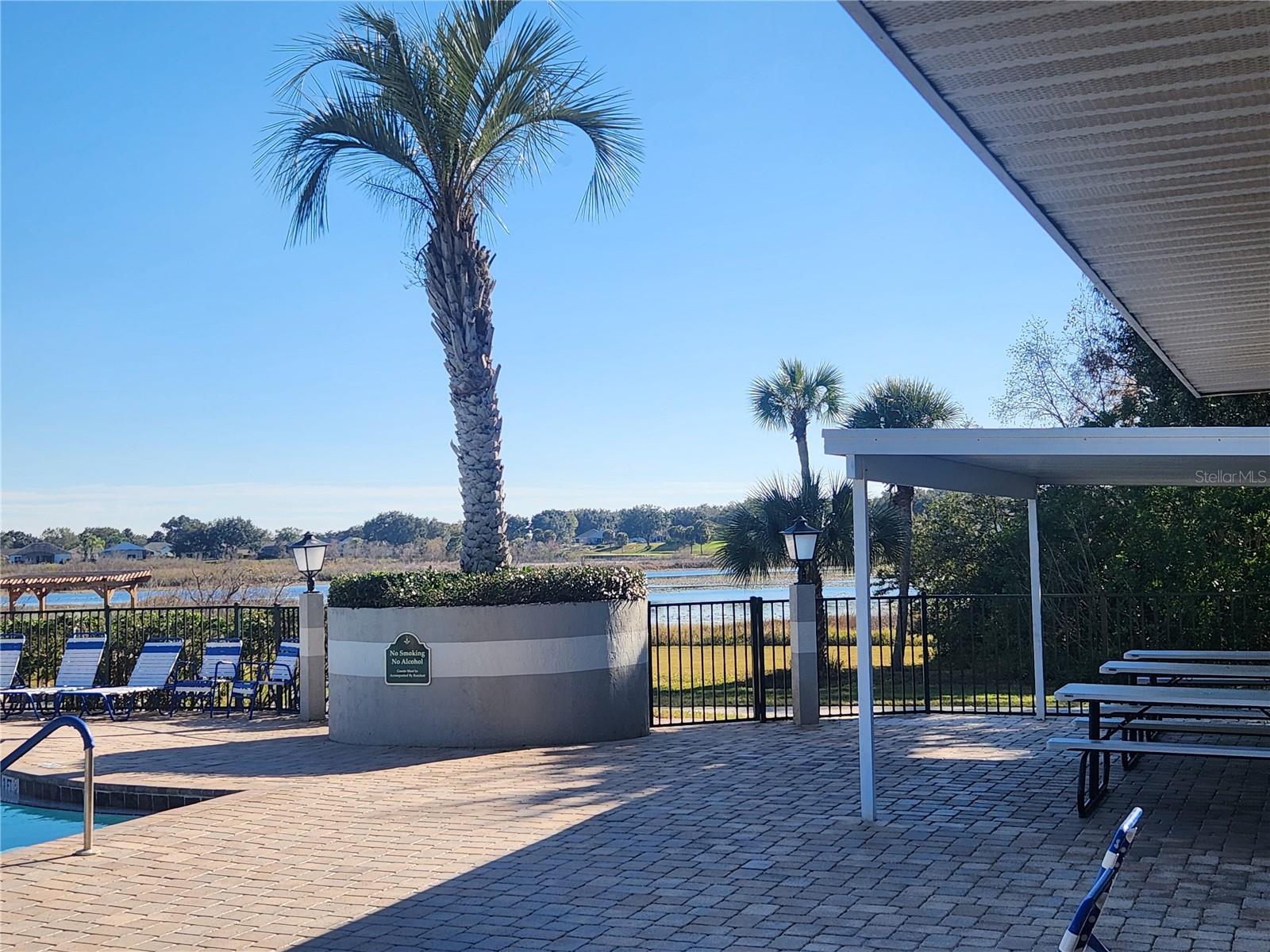 Image 50 of 60 For 24921 Pine Hill