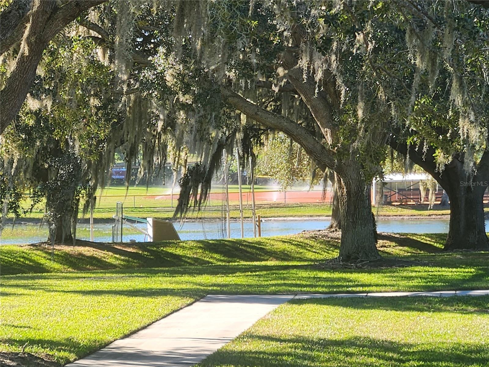 Image 53 of 60 For 24921 Pine Hill