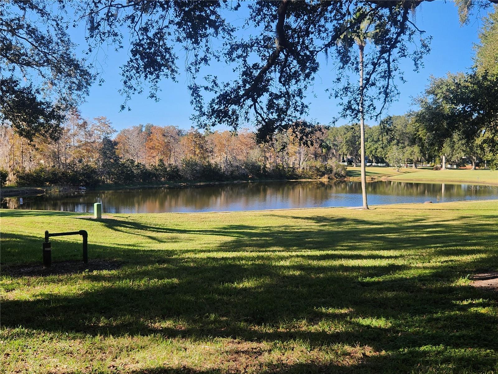 Image 56 of 60 For 24921 Pine Hill