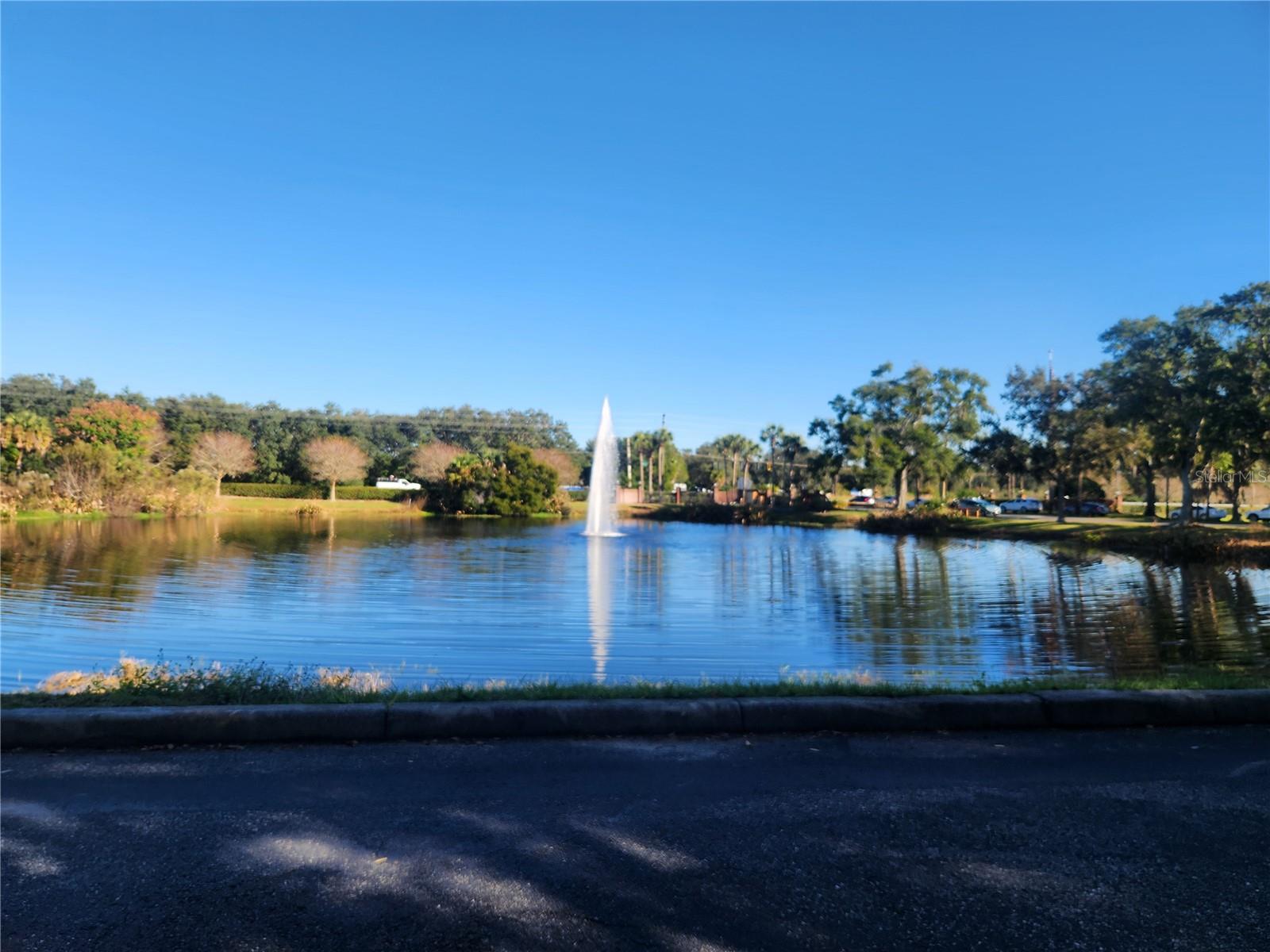 Image 60 of 60 For 24921 Pine Hill