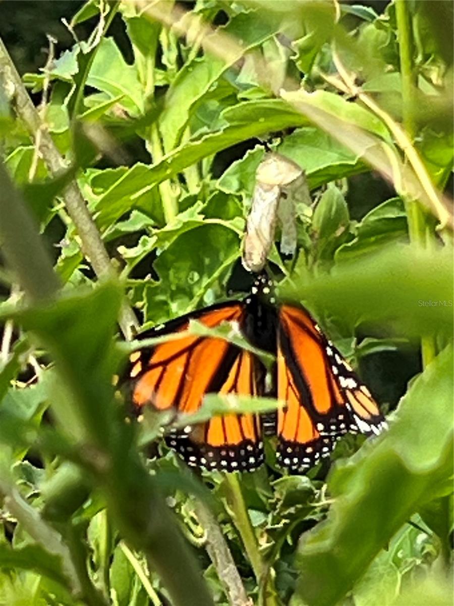 Image 63 of 63 For 81 Twin Lake Circle